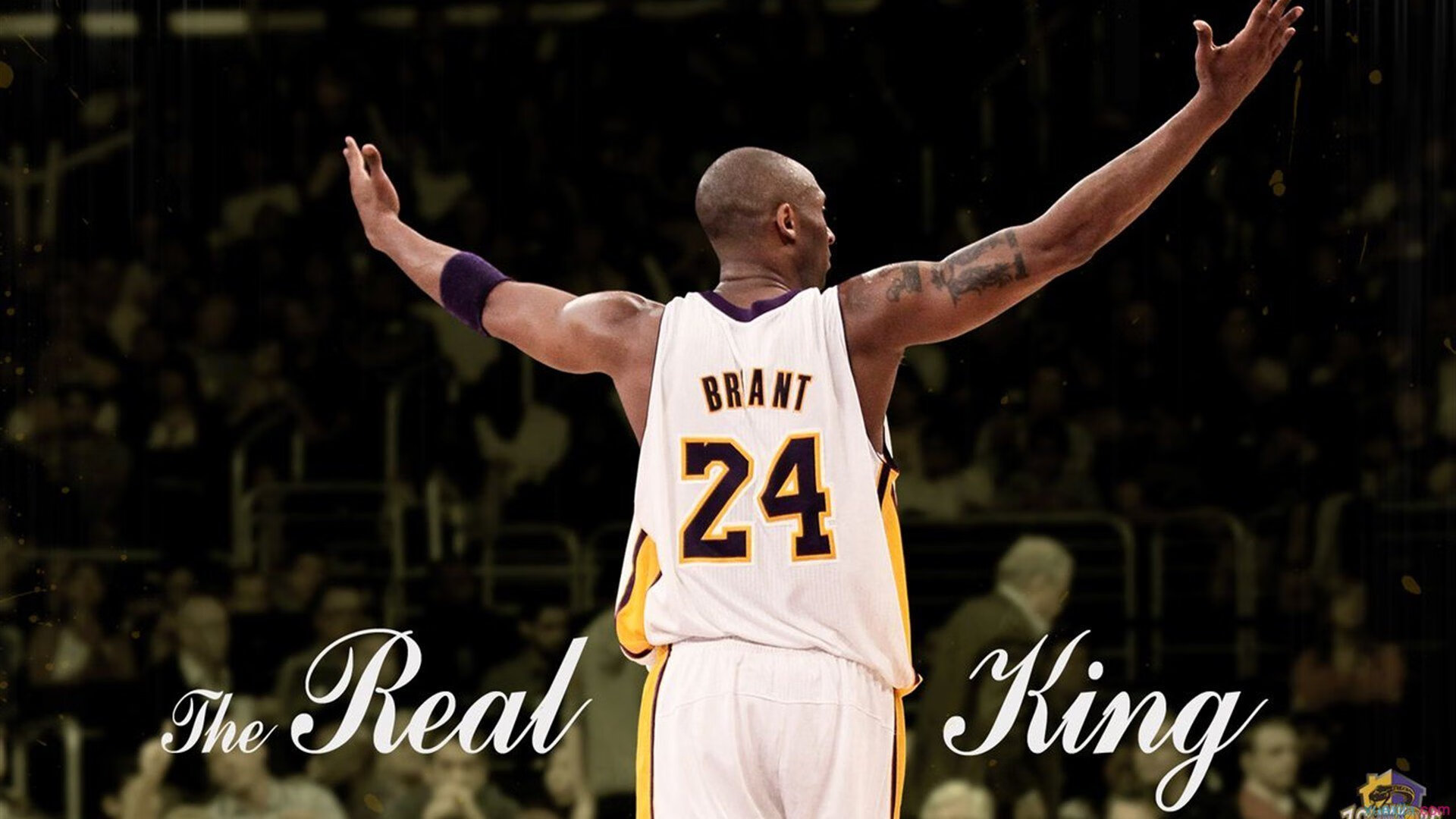 从独行侠到世界之巅，小贾伦·杰克逊如何用2026世界杯的统治表现诠释唯一性